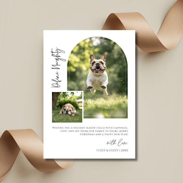 Arch Photo Define Naughty Funny Dog Christmas  Holiday Card (Creator Uploaded)