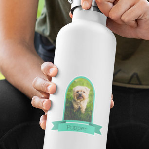 Arch Photo For Pets Sticker