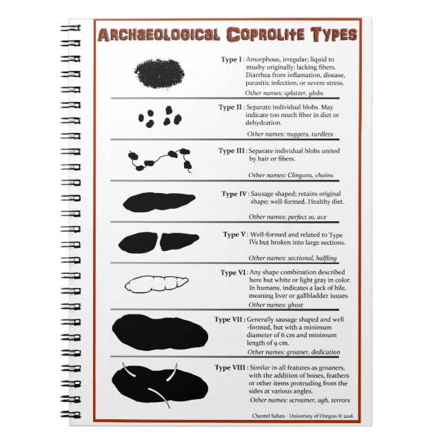 Archaeological Coprolite Types Notebook (Front)