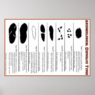 Archaeological Coprolite Types Poster
