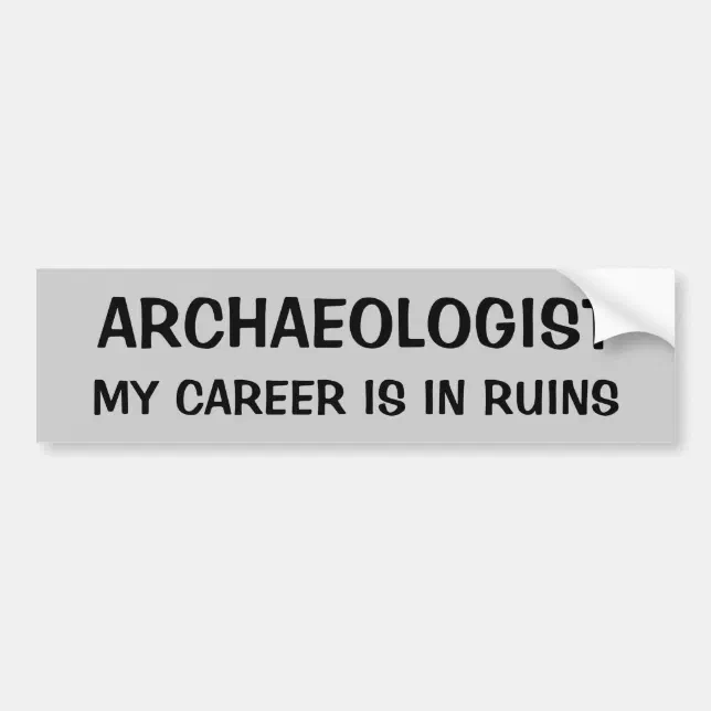 Archaeologist Pun. My Career is In Ruins Bumper Sticker Zazzle