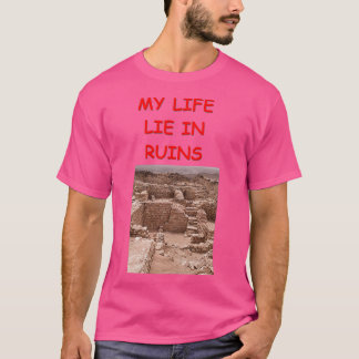 Archaeology joke 16 T-Shirt