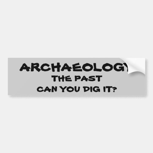 Archaeology Pun The Past Can You Dig It Bumper Sticker
