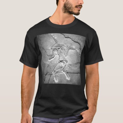 Archaeopteryx fossil Berlin specimen feathered din T_Shirt