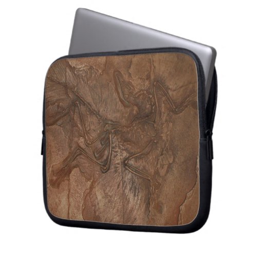 Archaeopteryx fossil Laptop sleeve Zazzle