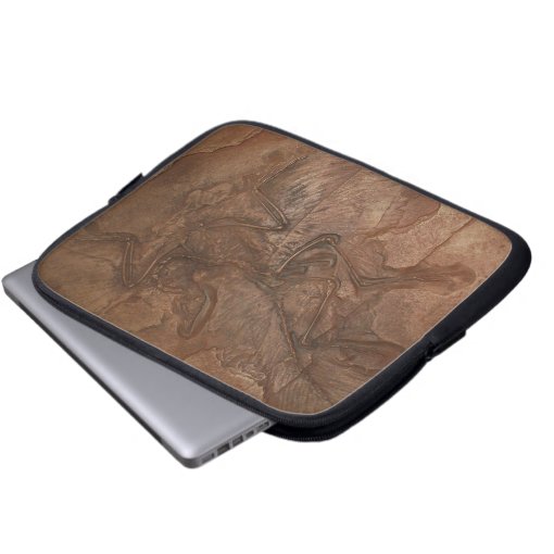 Archaeopteryx fossil Laptop sleeve Zazzle