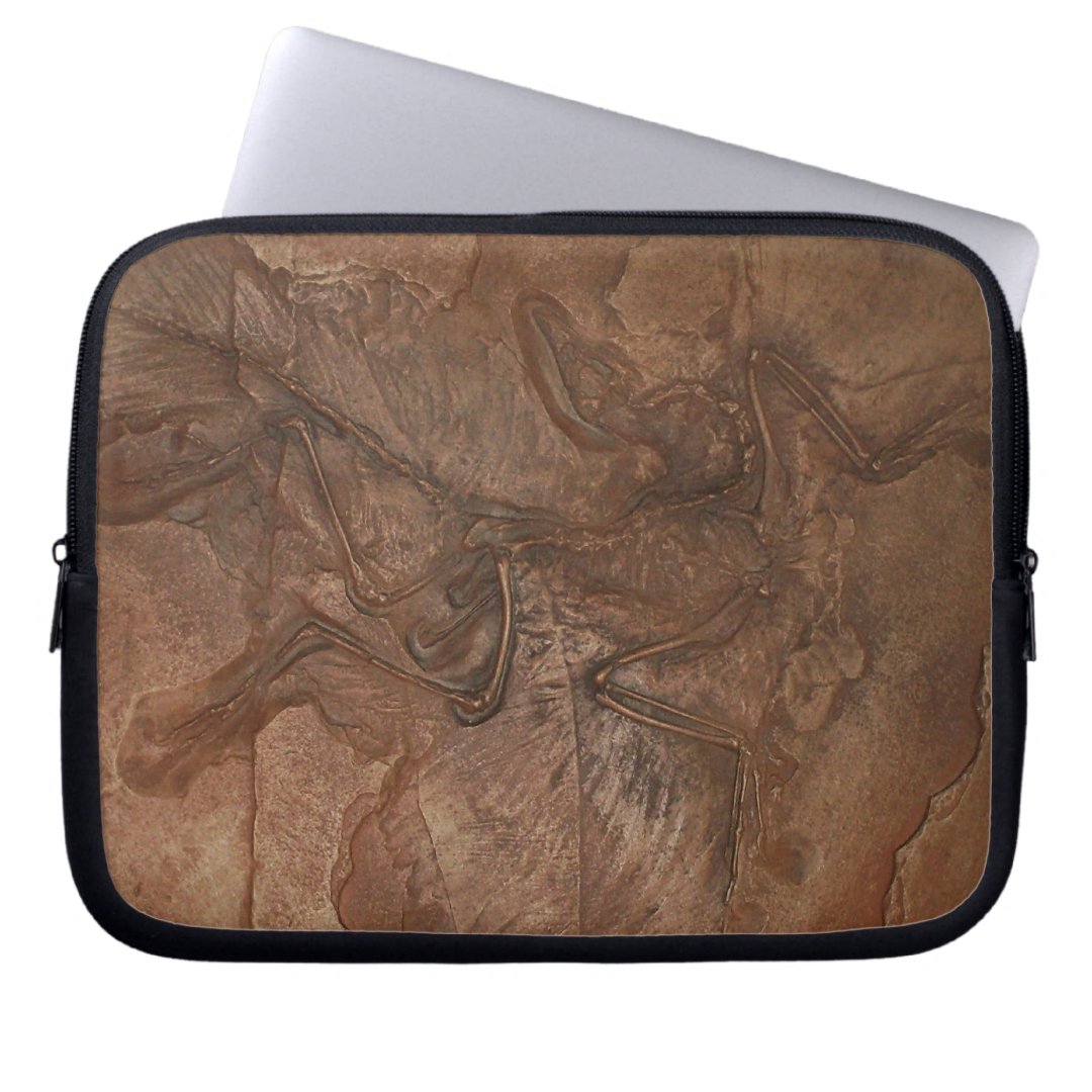 Archaeopteryx fossil Laptop sleeve Zazzle
