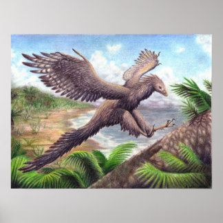 Archaeopteryx Print