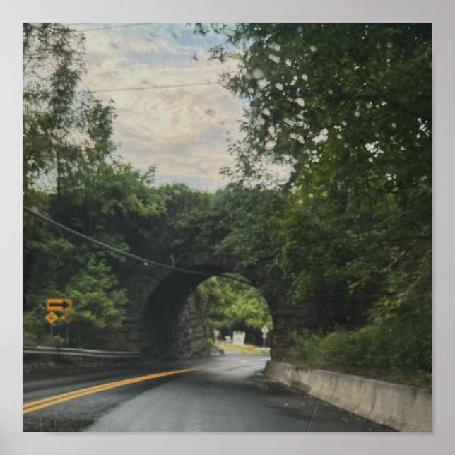 Arched Roadway Bridge Poster (Front)