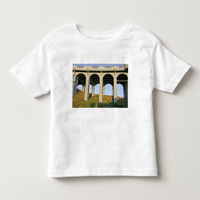 Arched supports Patterson Memorial Bridge Toddler T-shirt (Front)