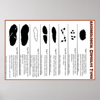 Archeological Coprolite Types Poster