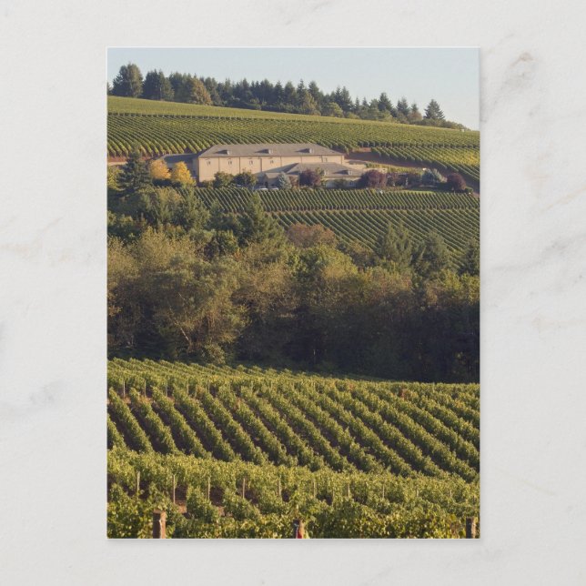 Archery Summit tan building sits atop hill Postcard (Front)