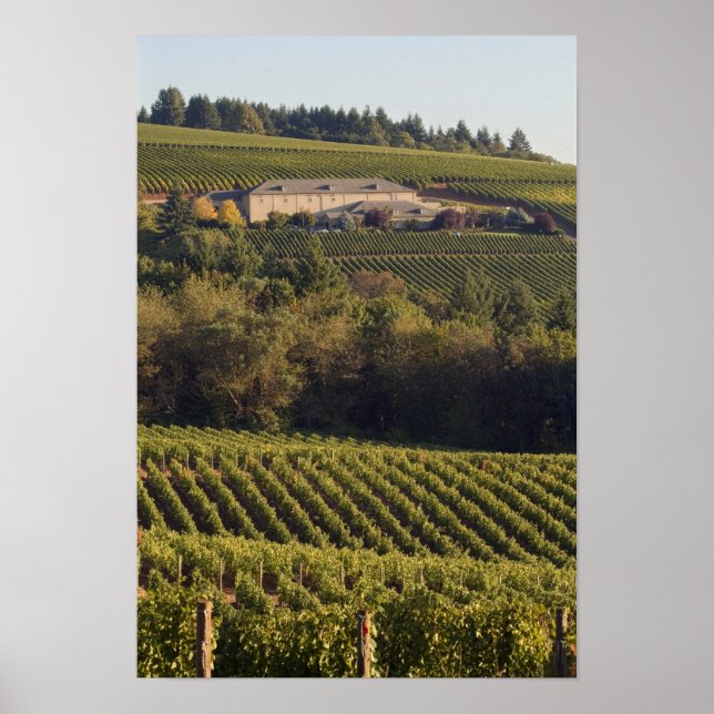 Archery Summit tan building sits atop hill Poster (Front)