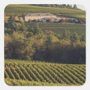 Archery Summit tan building sits atop hill Square Sticker