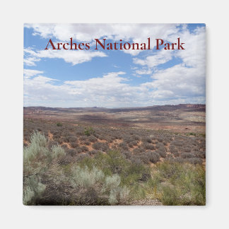 Arches National Park Magnet