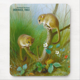 Archibald Thorburn Cute mice (Dormice 1903) CC0153 Mouse Pad