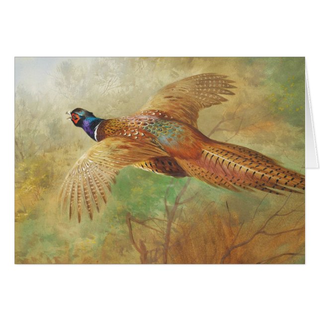 Archibald Thorburn Flying pheasant Bird art cards (Front Horizontal)