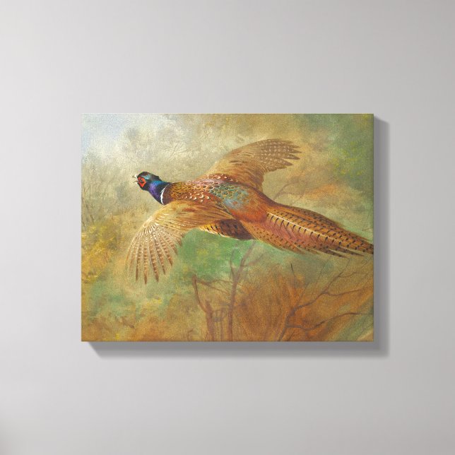 Archibald Thorburn Flying pheasant Bird paintings Canvas Print (Front)