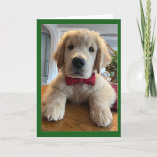 Archie Christmas Bowtie Thank You Card