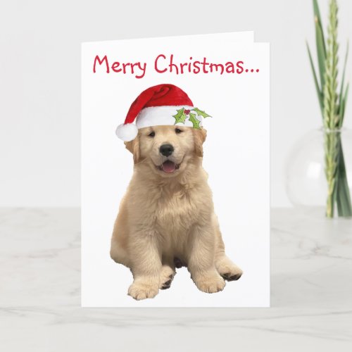 Archie Christmas Puppy Thank You Card