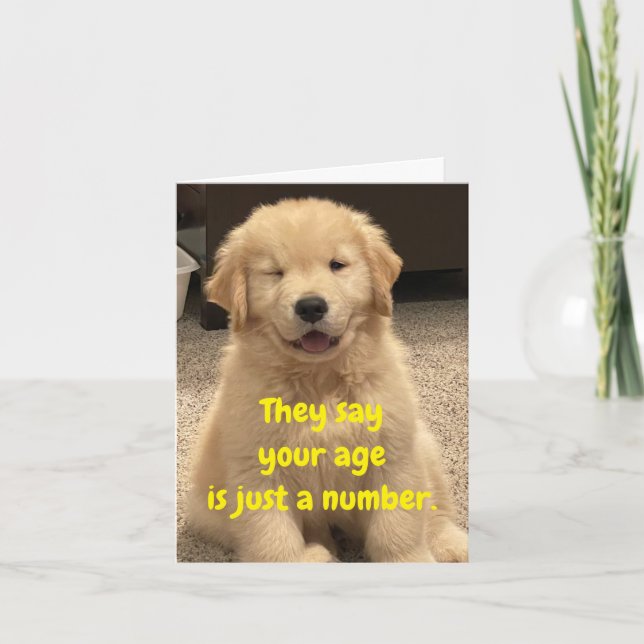 Archie's Adventures Birthday Card (Front)