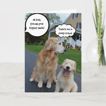 Archie's Adventures Blank Gretting Card 13 by MaddiMomentsbyMAR at Zazzle