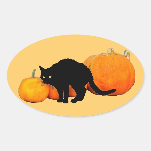 Arching Black Cat with Pumpkins Oval Sticker (Front)