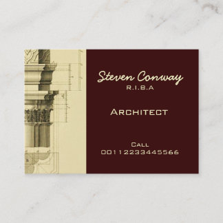 Architect ~ Gothic Architecture Design Business Card
