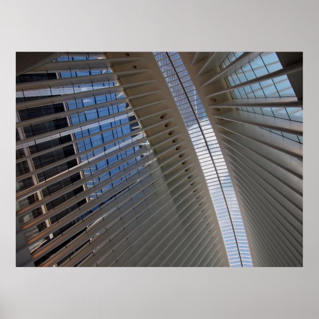 architectural spiderweb poster (Front)