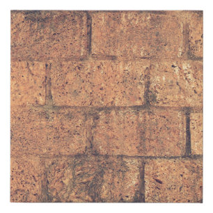 Architecture bricks wall stoneworks faux canvas print