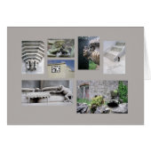 Architecture card (Front Horizontal)