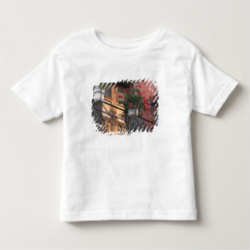 Architecture on the streets of San Miguel de Toddler T_shirt