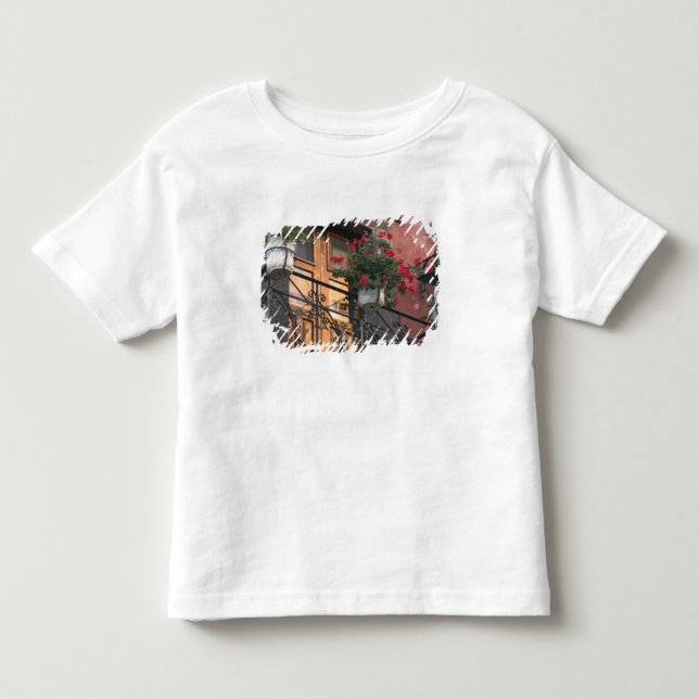 Architecture on the streets of San Miguel de Toddler T-shirt (Front)