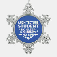 Architecture Student No Life or Money