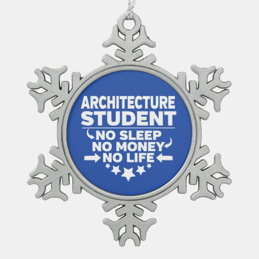 Architecture Student No Life or Money Snowflake Pewter Christmas Ornament