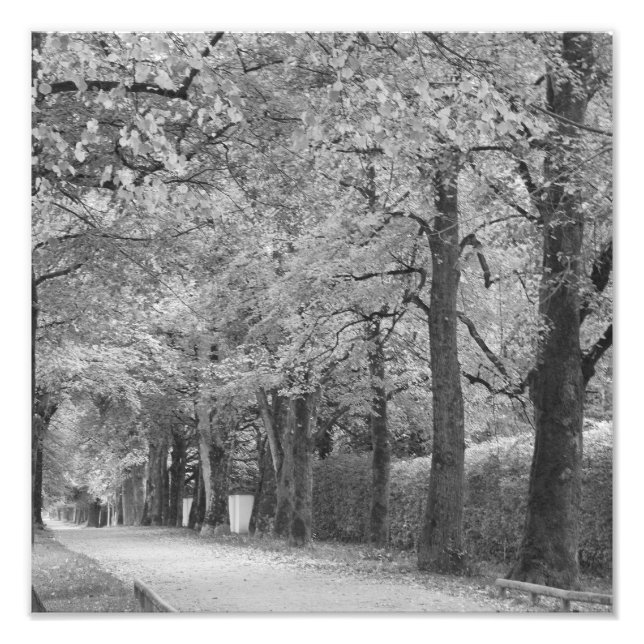 "Archway" photoprint Photo Print (Front)