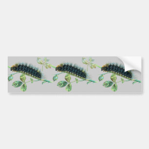 Arctia caja caterpillar bumper sticker