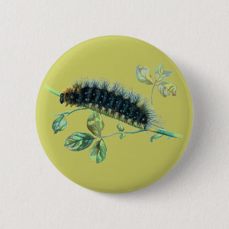 Arctia caja caterpillar button