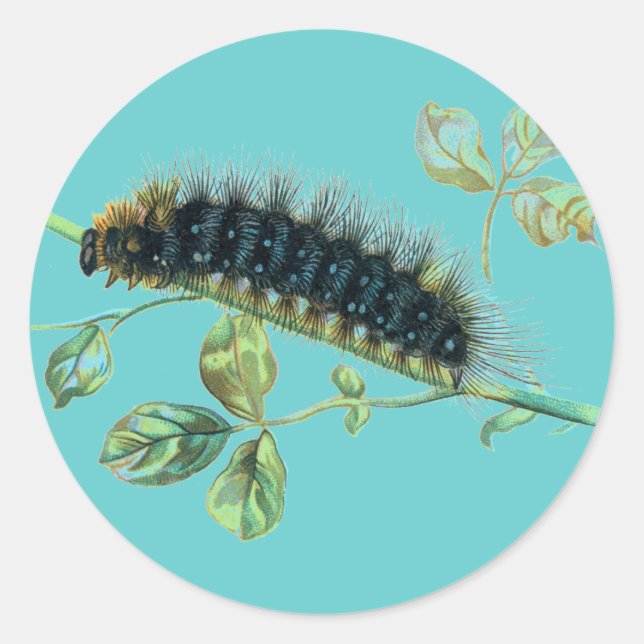 Arctia caja caterpillar classic round sticker (Front)