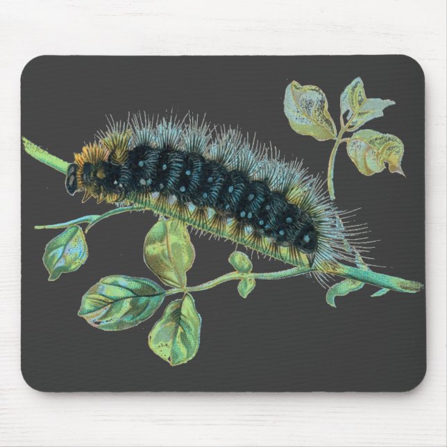 Arctia caja caterpillar mouse pad (Front)