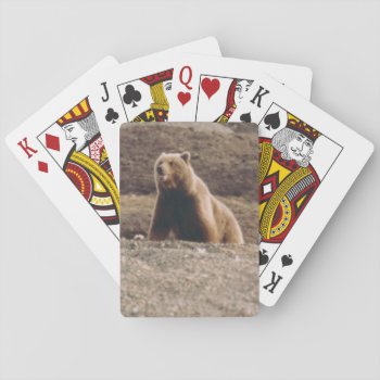 Arctic Alaska Tundra Grizzly Sow Photo Designed Playing Cards by ScrdBlueCollectibles at Zazzle