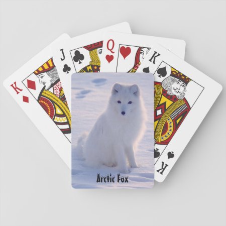 Arctic Alaskan White Fox Winter Pose Playing Cards