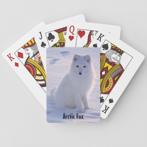 Arctic Alaskan White Fox Winter Pose Poker Cards