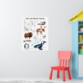 Ocean Animals, Education Learning Classroom Poster