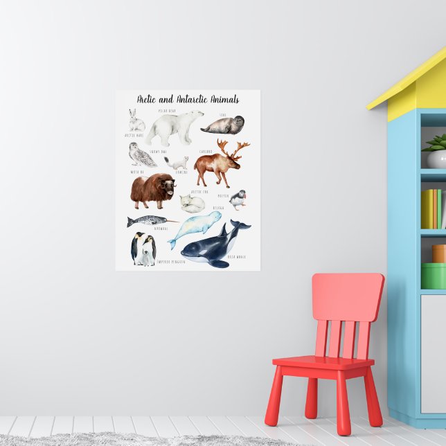 Arctic Animals | Education Learning Classroom Poster (Nursery 1)