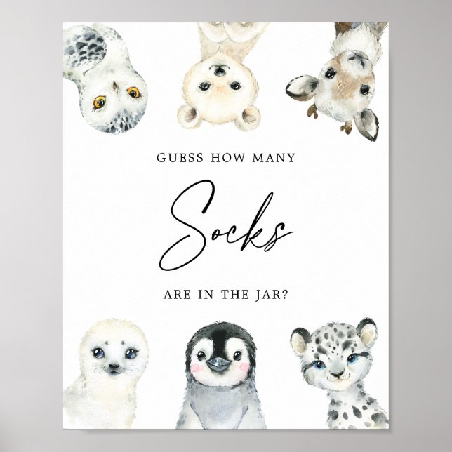 Arctic Animals Guess How Many Socks Sign (Front)