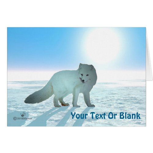 Arctic Fox