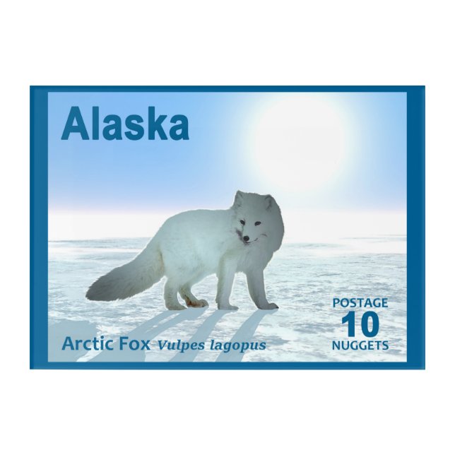 Arctic Fox - Alaska Postage Acrylic Print (Front)