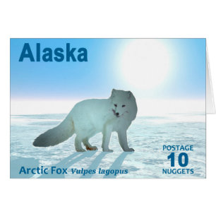 Arctic Fox - Alaska Postage Cards