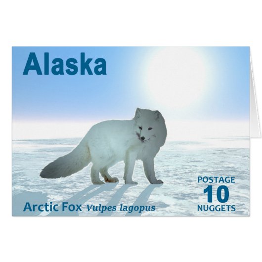 Arctic Fox - Alaska Postage Cards (Front Horizontal)